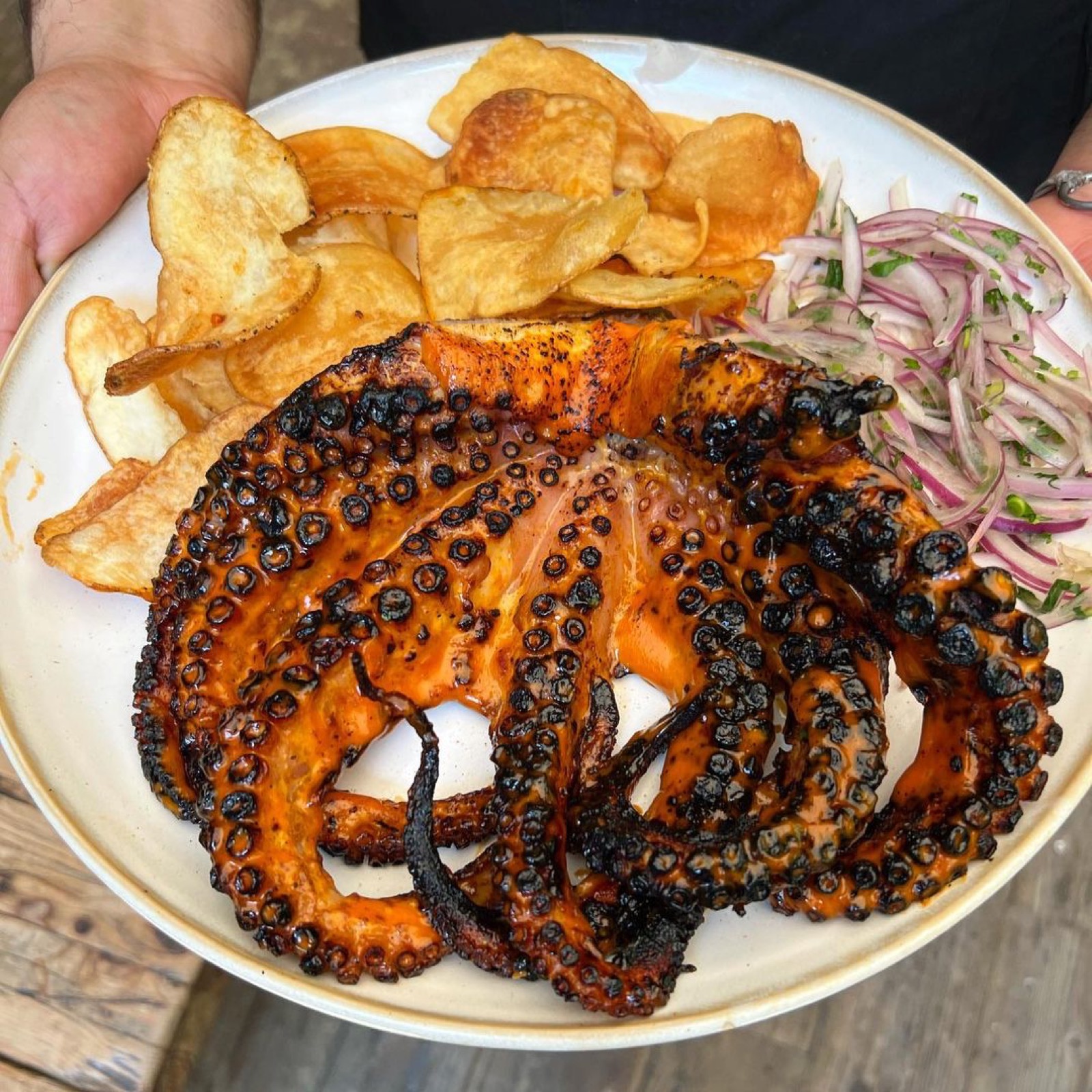 Pulpo